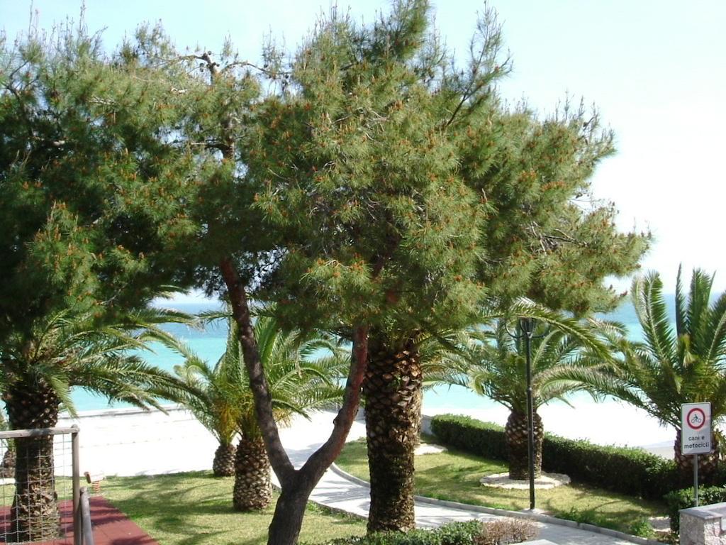 Taormina Beach House Мацео Стая снимка